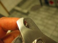 tuusvet_koirankynsi3